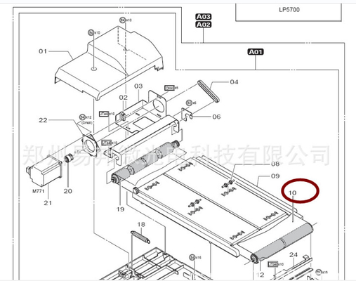 CHINA Rückkehr-Abschnitt-Gurt-Fuji-Grenze 550 323D1061533 323D1061533E 570 minilab LP5500 LP5700 fournisseur