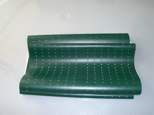 CHINA Teil-grüner Gürtel Poli Laserlab 3049 Digital Minilab fournisseur