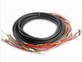 W410490 01 W412850 01 W410490 W412850 Noritsu QSS 3201 3202 3203 Minlab Ersatzteil-rechter Arm-Kabel fournisseur