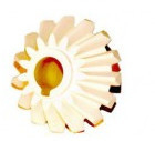 Noritsu-minilab Teil # A036430/A036430-01 fournisseur