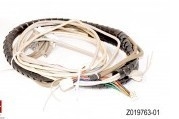 Noritsu-minilab Teil # GEMEINSAME AUSRÜSTUNG DES SCANNER-Z019763-01 (1.5M) fournisseur